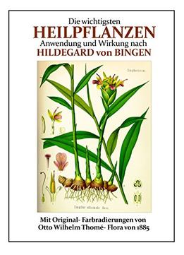 Die Wichtigsten Heilpflanzen – Anwendung Und Wirkung Nach Hildegard Von Bingen