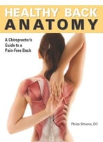 Healthy Back Anatomy: A Chiropractor’S Guide To A Pain-Free Back
