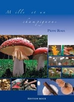 Mille Et Un Champignons