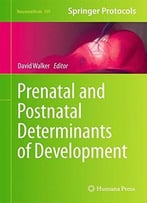Prenatal And Postnatal Determinants Of Development (Neuromethods, Book 109)