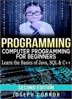 Programming: Computer Programming For Beginners