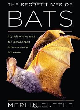 The Secret Lives Of Bats: My Adventures With The World’S Most Misunderstood Mammals