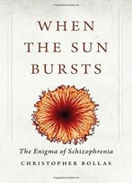 When The Sun Bursts: The Enigma Of Schizophrenia