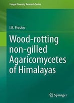 Wood-Rotting Non-Gilled Agaricomycetes Of Himalayas