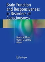 Brain Function And Responsiveness In Disorders Of Consciousness