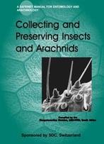 Collecting And Preserving Insects And Arachnids