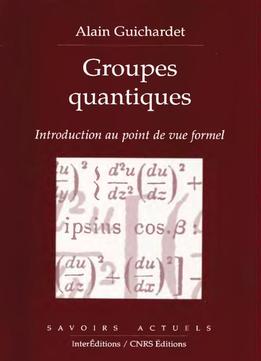 Groupes Quantiques : Introduction Au Point De Vue Formel
