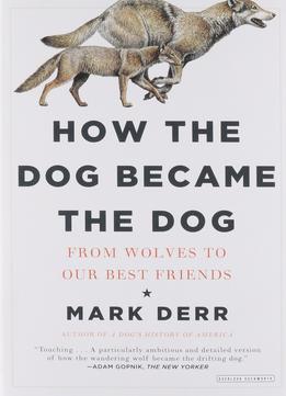 How The Dog Became The Dog: From Wolves To Our Best Friends