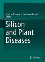 Silicon And Plant Diseases