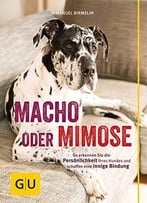 Macho Oder Mimose: So Erkennen Sie Die Persönlichkeit Ihres Hundes Und Schaffen Eine Innige Bindung