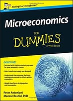 Microeconomics For Dummies
