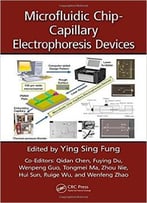 Microfluidic Chip-Capillary Electrophoresis Devices