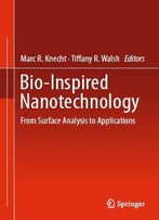 Bio-Inspired Nanotechnology: From Surface Analysis To Applications