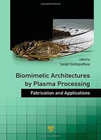 Biomimetic Architectures By Plasma Processing: Fabrication And Applications