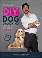 Diy Dog Grooming, From Puppy Cuts To Best In Show: Everything You Need To Know, Step By Step
