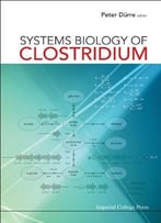 Systems Biology Of Clostridium