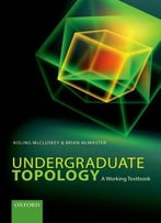 Undergraduate Topology: A Working Textbook