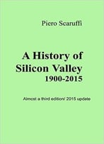 A History Of Silicon Valley: Almost A Third Edition/ 2015 Pdate
