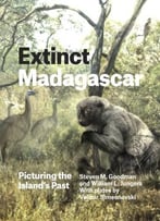 Extinct Madagascar: Picturing The Island’S Past