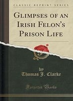 Glimpses Of An Irish Felon’S Prison Life