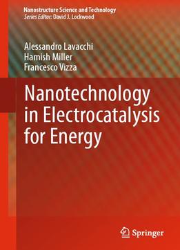 Nanotechnology In Electrocatalysis For Energy (Nanostructure Science And Technology)