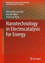 Nanotechnology In Electrocatalysis For Energy (Nanostructure Science And Technology)