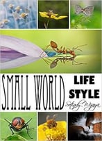 Small World Life Style