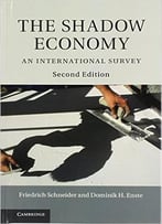 The Shadow Economy: An International Survey, 2 Edition