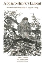 A Sparrowhawk’S Lament: How British Breeding Birds Of Prey Are Faring
