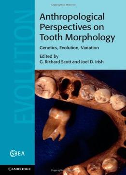 Anthropological Perspectives On Tooth Morphology: Genetics, Evolution, Variation