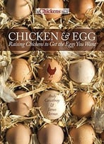 Chicken And Egg: Raising Chickens To Get The Eggs You Want