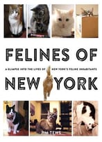 Felines Of New York: A Glimpse Into The Lives Of New York’S Feline Inhabitants