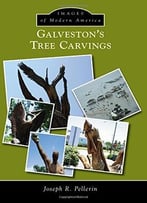 Galveston’S Tree Carvings (Images Of Modern America)