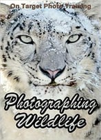 Photographing Wildlife (On Target Photo Training Book 28)