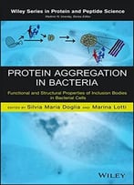 Protein Aggregation In Bacteria: Functional And Structural Properties Of Inclusion Bodies In Bacterial Cells