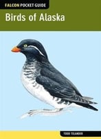 Birds Of Alaska: A Falcon Pocket Guide