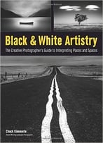 Black & White Artistry: The Creative Photographer’S Guide To Interpreting Places And Spaces