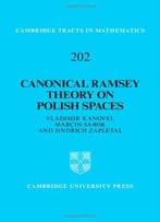Canonical Ramsey Theory On Polish Spaces