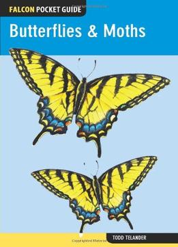 Falcon Pocket Guide: Butterflies & Moths