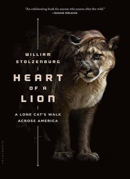 Heart Of A Lion: A Lone Cat’S Walk Across America