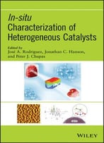 In-Situ Characterization Of Heterogeneous Catalysts