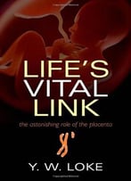 Life’S Vital Link: The Astonishing Role Of The Placenta