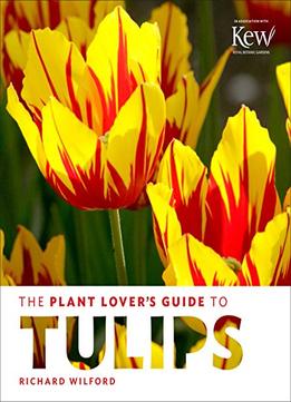 The Plant Lover’S Guide To Tulips