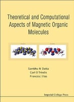 Theoretical And Computational Aspects Of Magnetic Organic Molecules