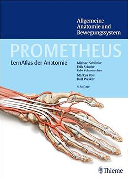 Allgemeine Anatomie Und Bewegungssystem