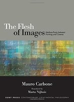 The Flesh Of Images: Merleau-Ponty Between Painting And Cinema