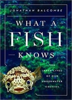 What A Fish Knows: The Inner Lives Of Our Underwater Cousins