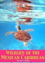 Wildlife Of The Mexican Caribbean