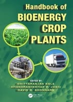 Handbook Of Bioenergy Crop Plants