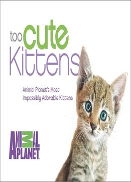 Too Cute Kittens: Animal Planet’S Most Impossibly Adorable Kittens